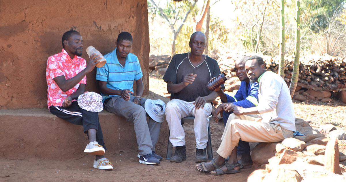 Vhaṱombi vha mahalwa a hayani vha khou hanedzana na milayo miswa