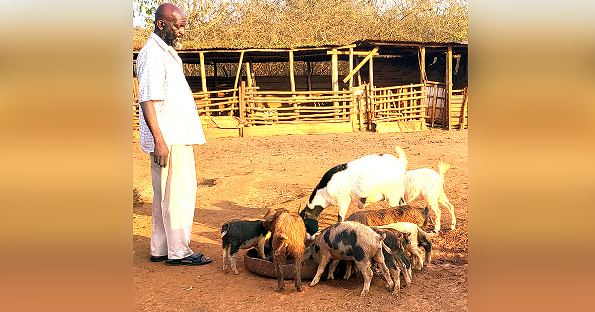 Retirees must keep themselves productive, says Dzebu