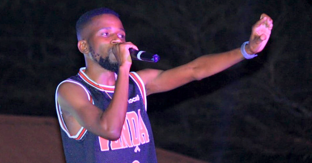 Spring Mega Festival gives local artists a platform to shine