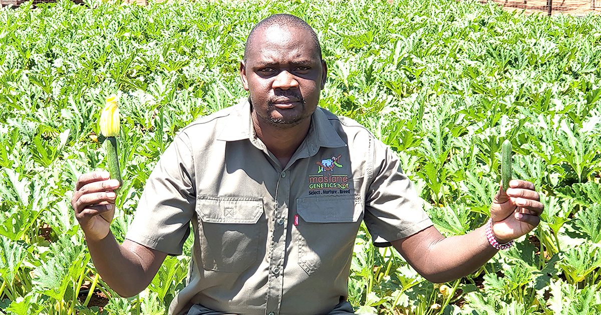 Going the organic way can save farmers lots of money, says Ncube