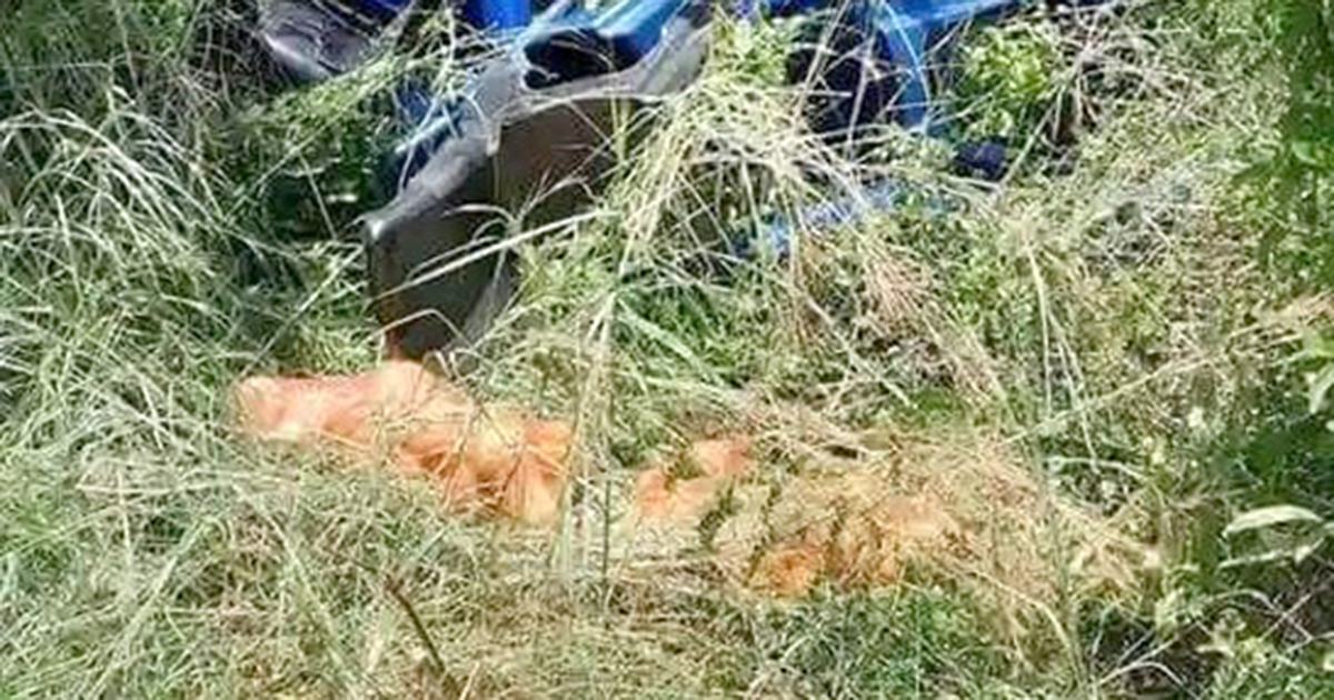 Women arrested for stealing food meant for school