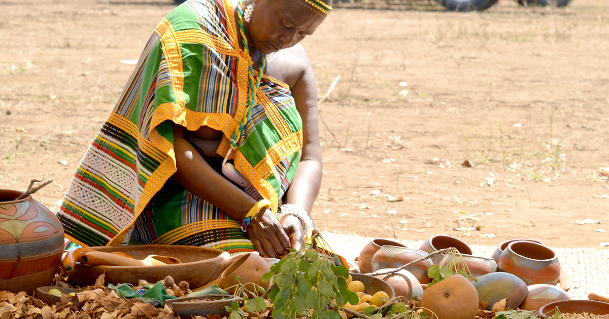 Bungeni comes alive while the Festival of the First Fruit kicks off