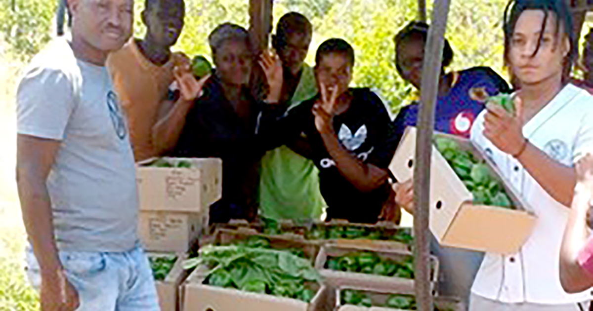 Partnership with NPOs helps Musina youths to fend for themselves
