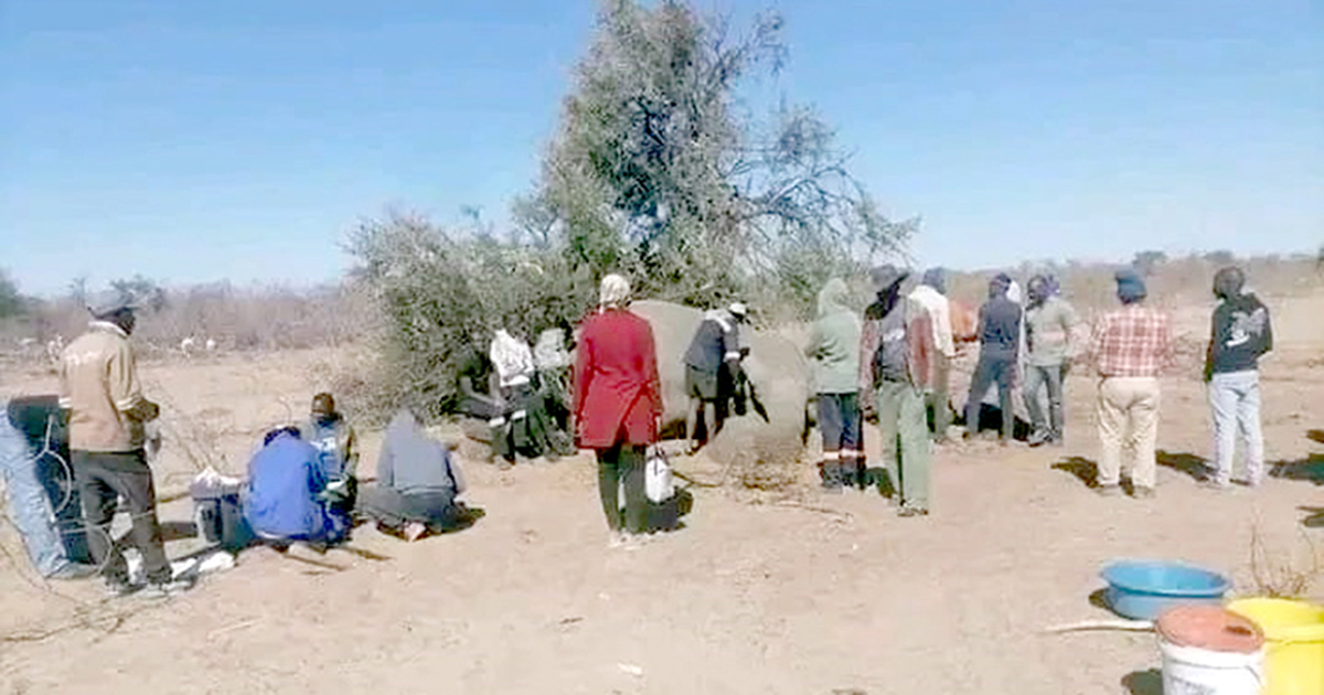 Vhadzulapo vho fara nḓou vha vhulaha, vha ḽa