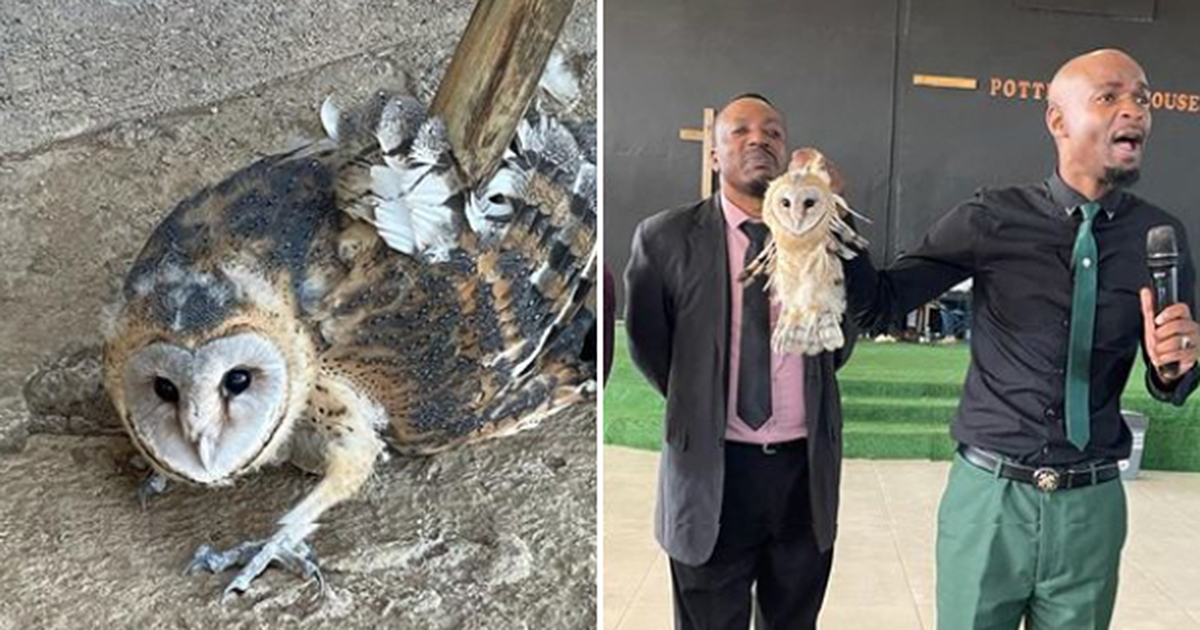 Pastor and fellow congregants receive harsh punishment for animal cruelty