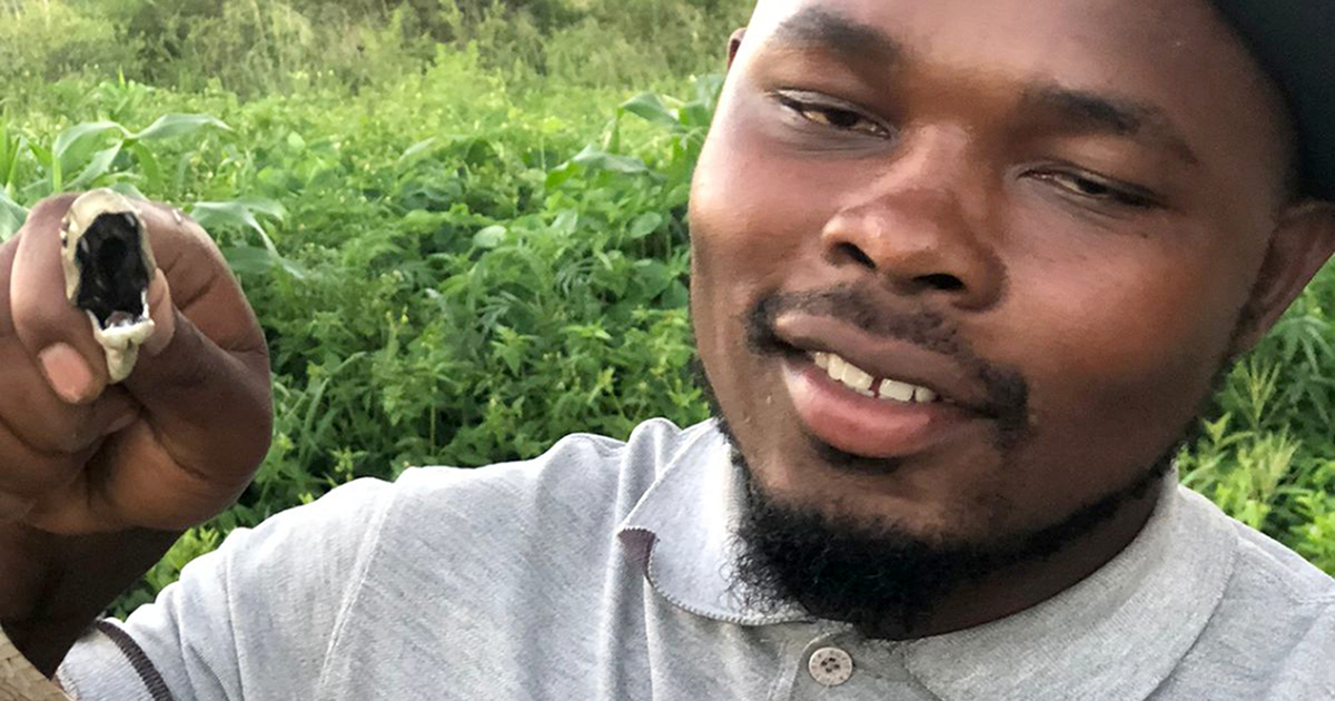 Snake rescuer needs rescuing after brush with Black Mamba