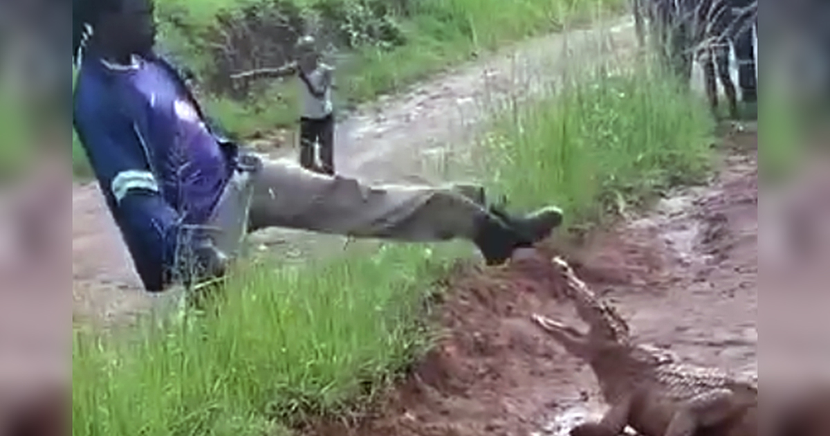 'Ndovha ndi khou lingedza u lamulela vhadzulapo kha ngweṋa '
