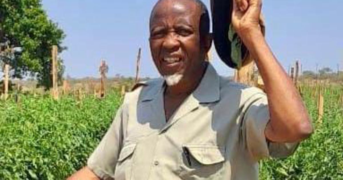 Former agricultural officer from Vuwani goes missing
