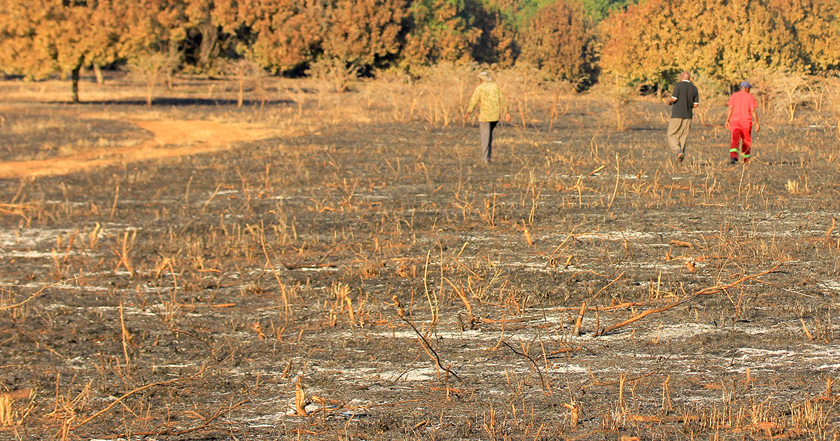 Fire at Mavhungeni farm leaves workers jobless as recovery stalls
