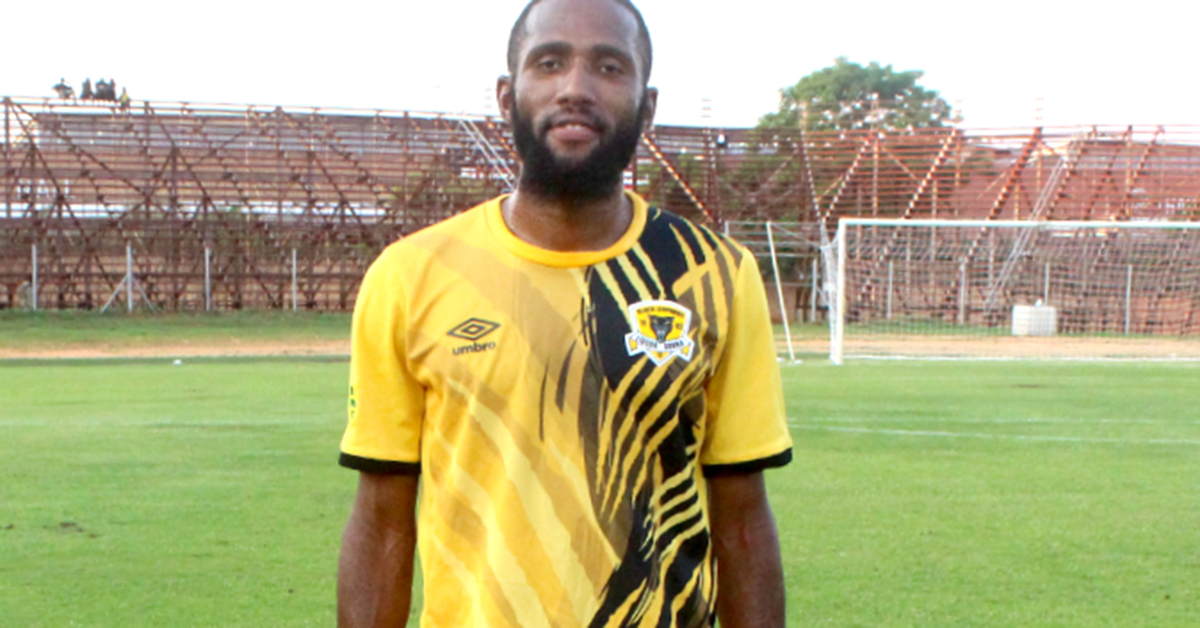 Will Black Leopards absorb The Bees’ sting?