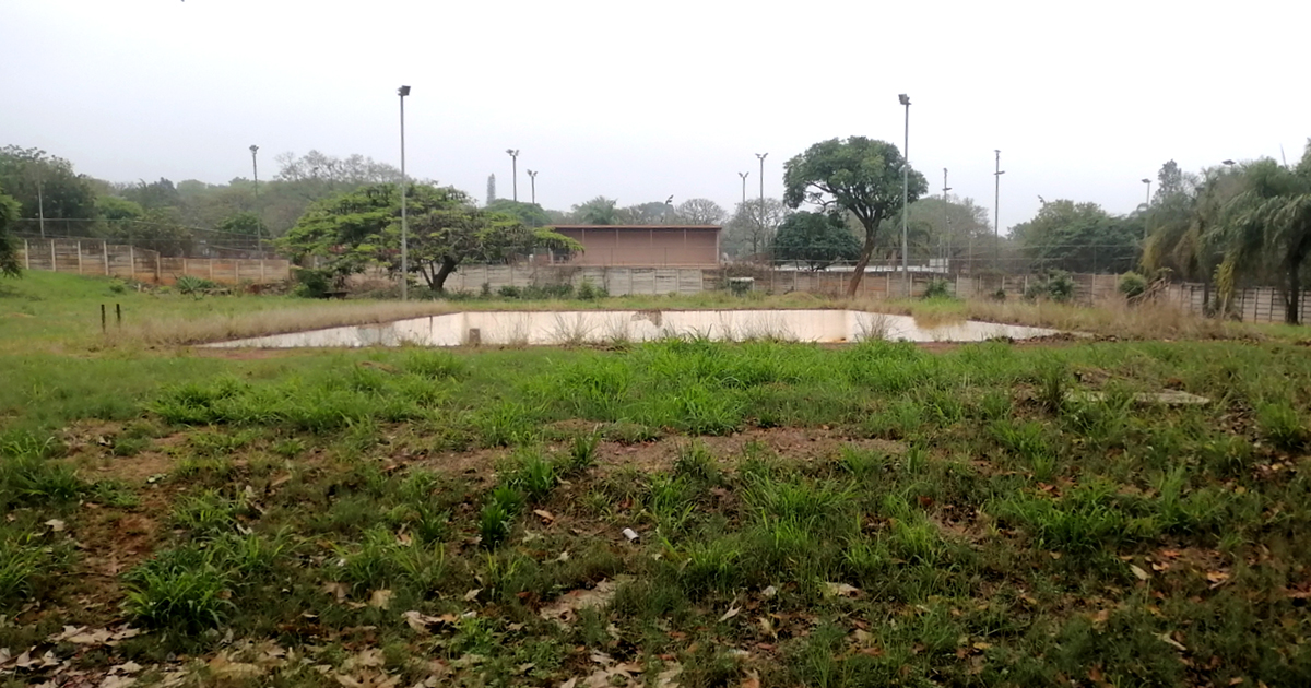 Makhado Municipality under fire for  neglected swimming pools