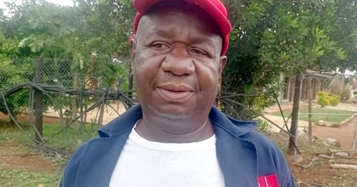 Rain brings a bit of relief to Vhembe farmers, but much more needed