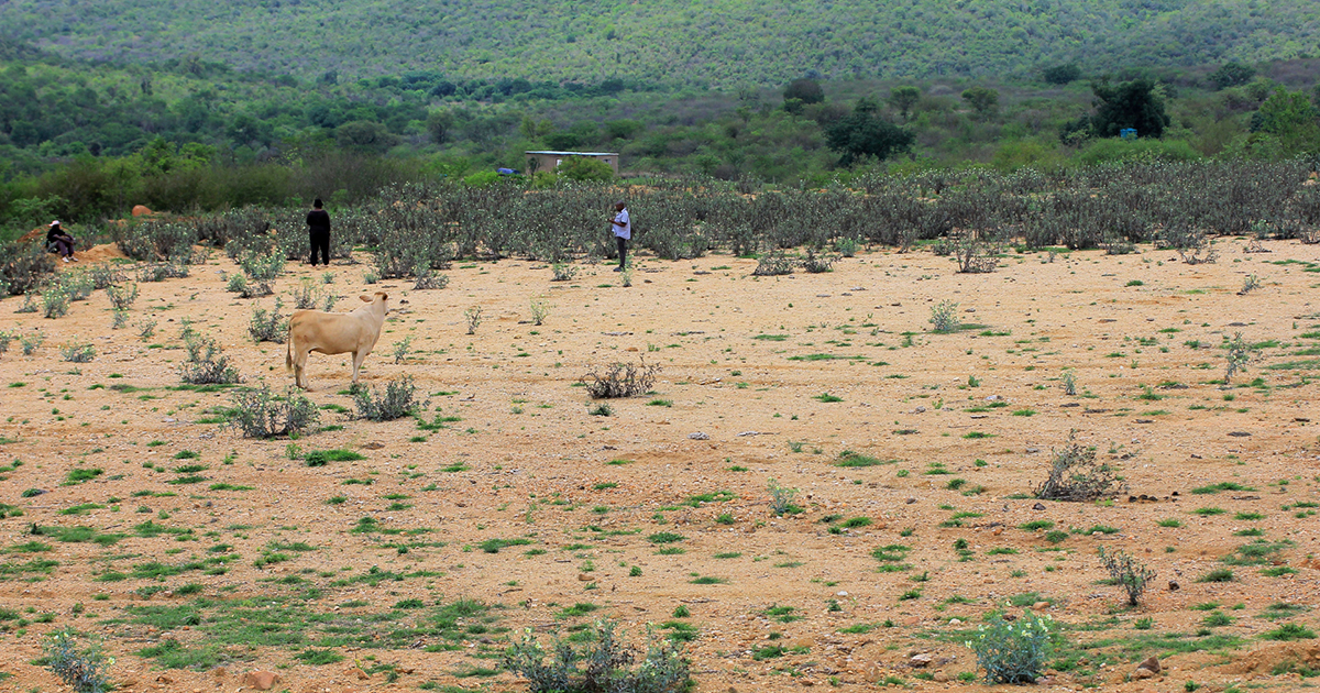 Nearly two years later, Nthabalala’s sports grounds remain unfinished