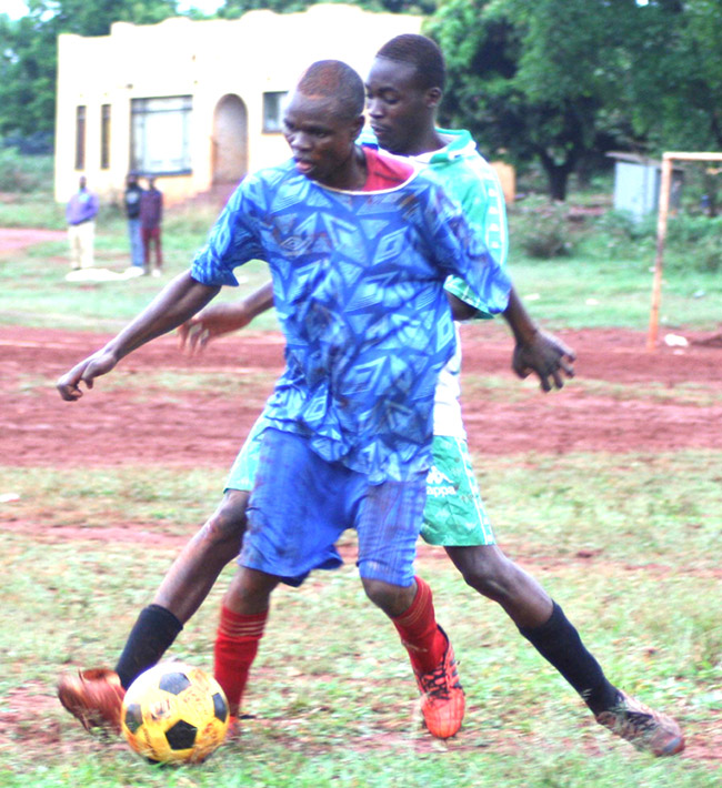 Dangerous Tigers and Anchors in draw