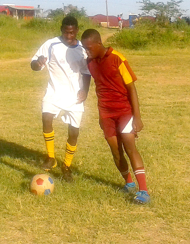Bokisi Scientist silence Mashau Movers