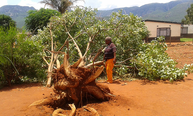 Storm causes huge damage in Midoroni Village