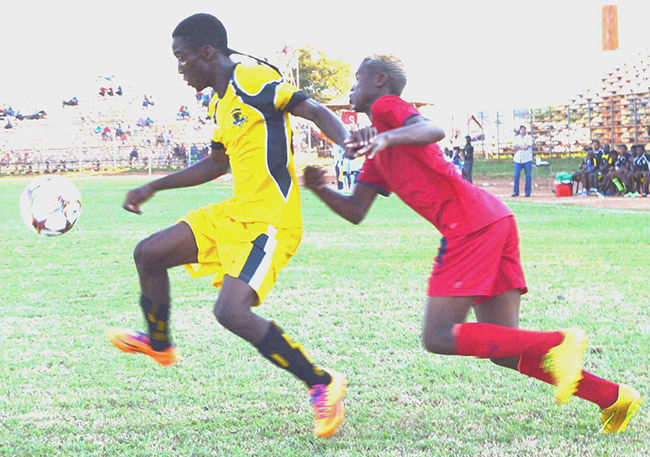 Black Leopards too good