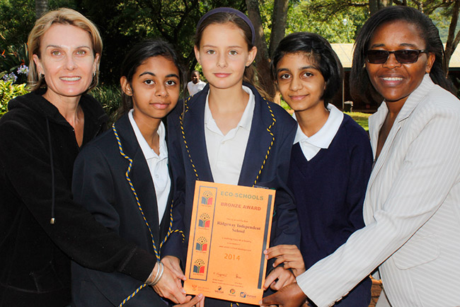 School becoming more environmentally friendly