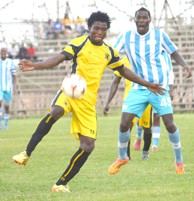More points for Leopards
