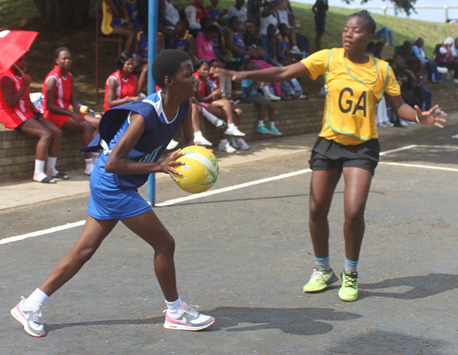 Seven Stars too good for Rising Stars