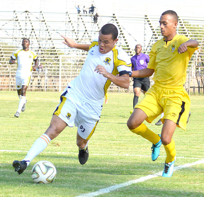 Leopards and Warriors in decider