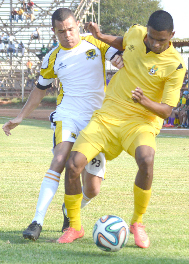 Mixed fortunes for Black Leopards