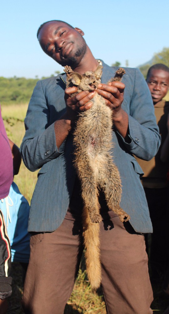 'I killed the Tokoloshe'