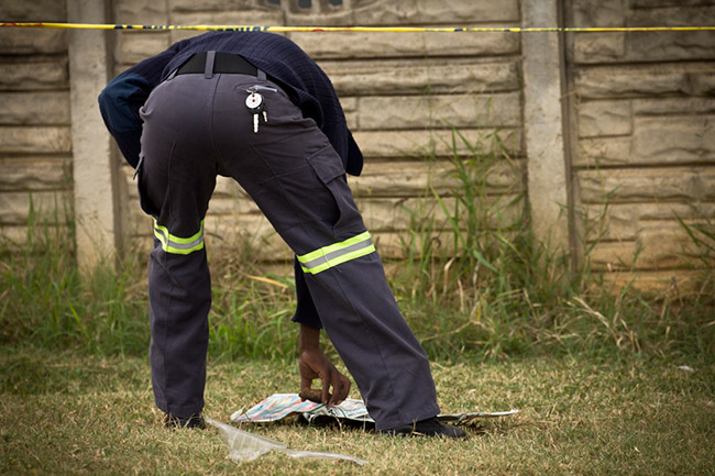 Shock as dog drags foetus back home