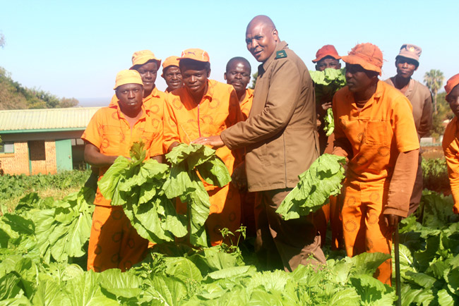 Several rehabilitation programmes for inmates