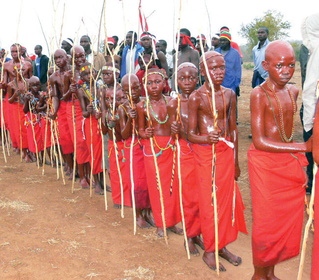 Government to monitor all initiation schools