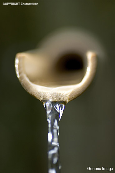 Water and sanitation under scrutiny
