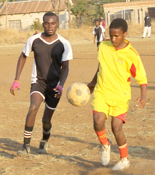 Bucs on top in Limpopo Dairy League