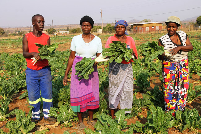 Rural women take charge of their lives