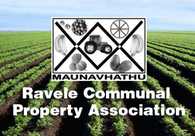 “Everything was done according to the book” - Ravele CPA