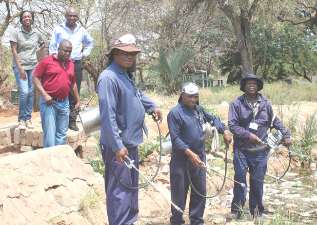 Anti-mosquito campaign at Musina