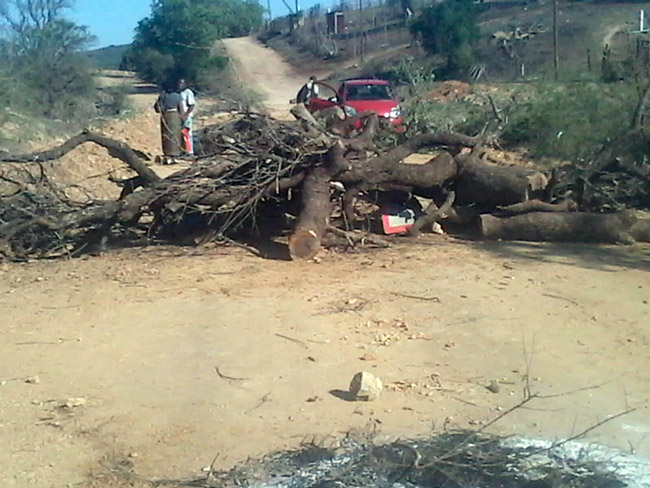 Anger erupts in Nthabalala after victim of crime dies
