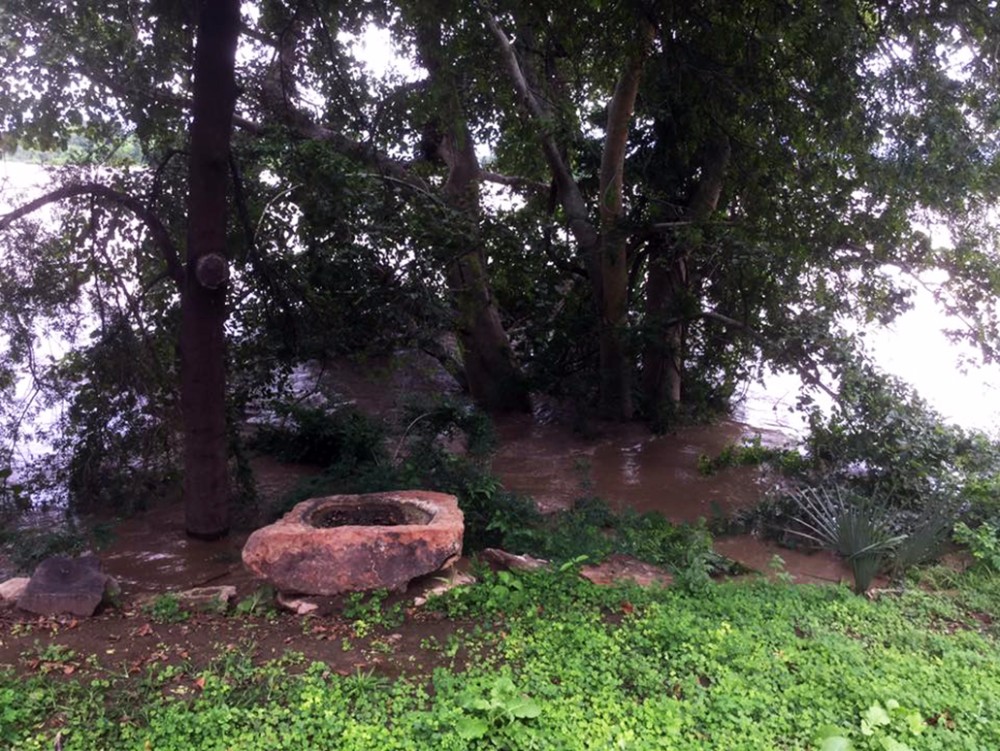 Limpopo River in flood