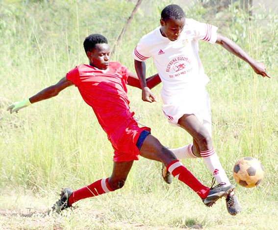 Santos and Jamaican Stars share the glory