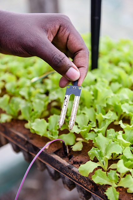 Young Vuwani innovators simplify agriculture