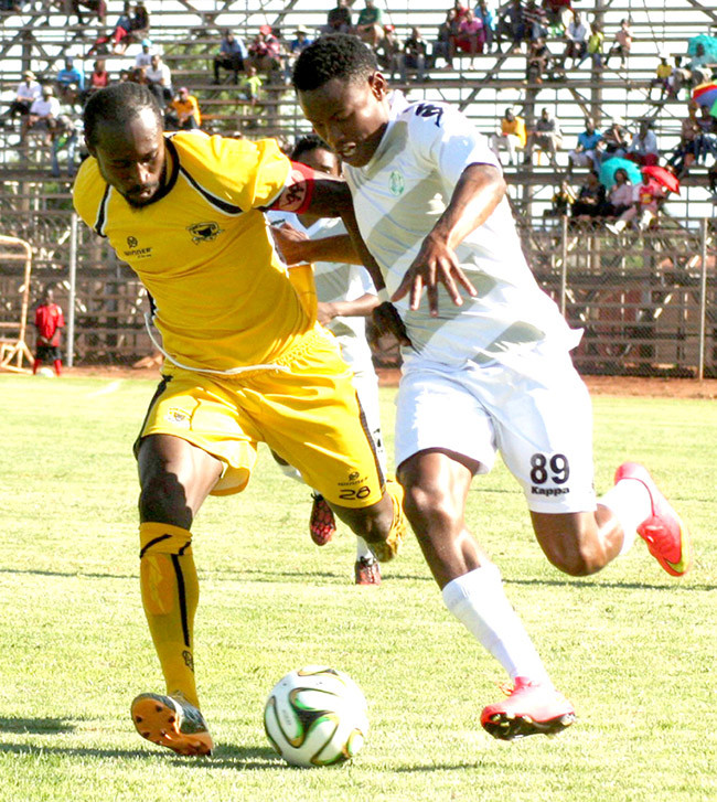 Leopards maul Maluti