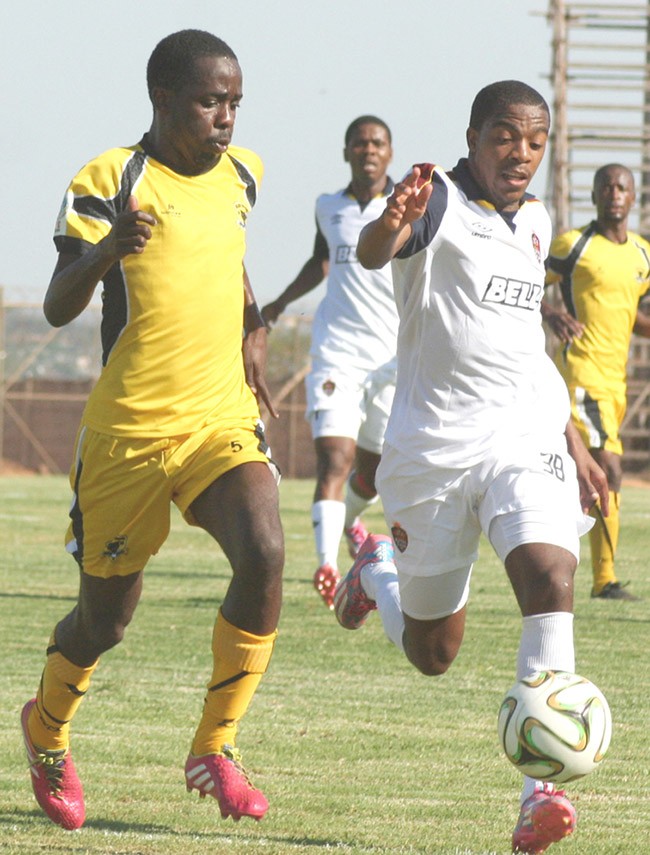 Leopards in trouble