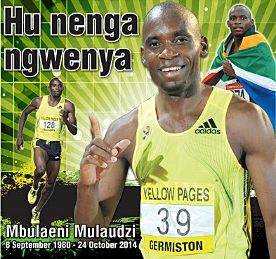 Mbulaeni Mulaudzi 1980 - 2014