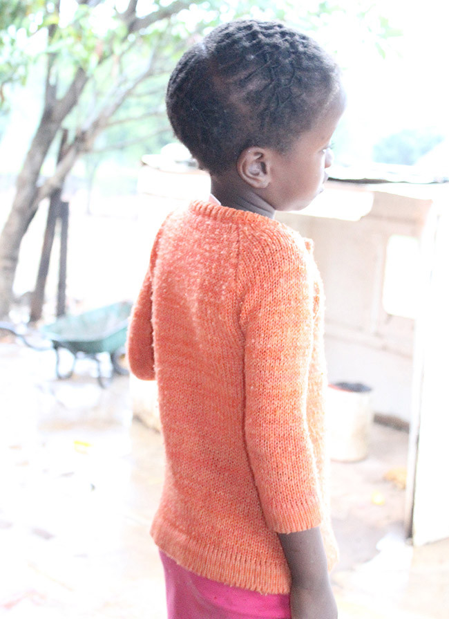 Girl (5) falls into toilet